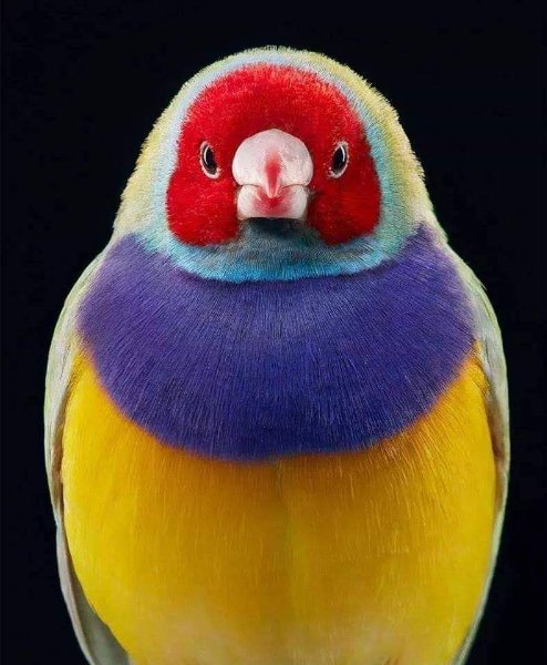 http://s19.directupload.net/images/user/191225/3dgd2phn.jpg
