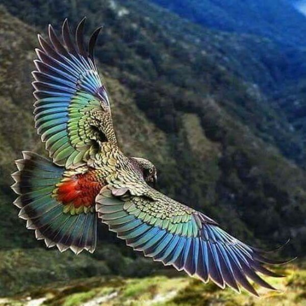 http://s19.directupload.net/images/user/191225/trx9gbnn.jpg