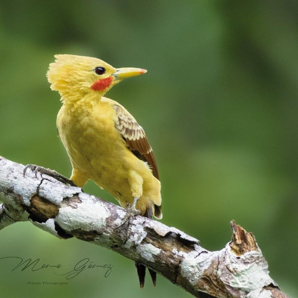 http://s19.directupload.net/images/user/191225/tsczhqmi.jpg