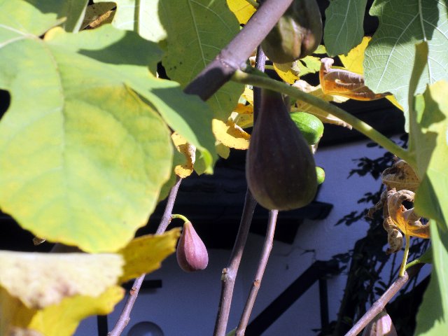 https://s19.directupload.net/images/191026/jpfpgln6.jpg