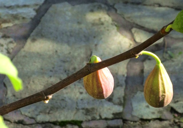 https://s19.directupload.net/images/191026/q26ylovu.jpg