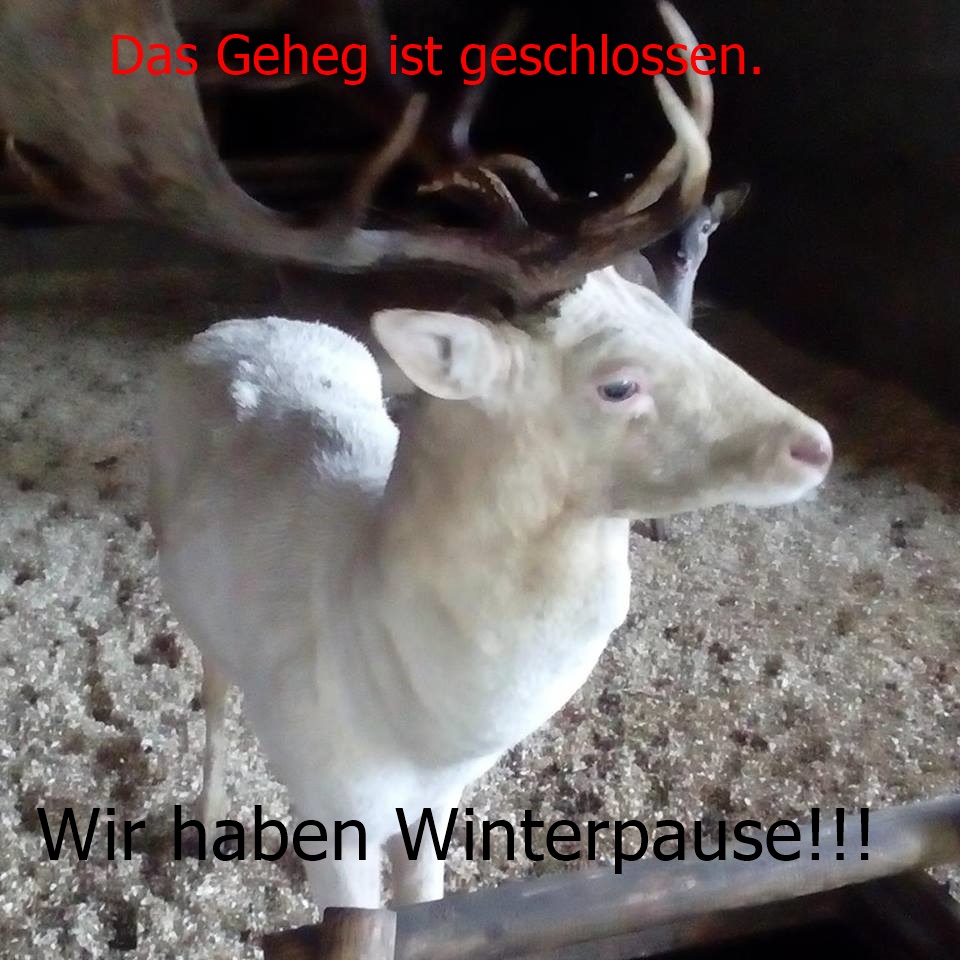 Kostenlos Bilder und Fotos hochladen