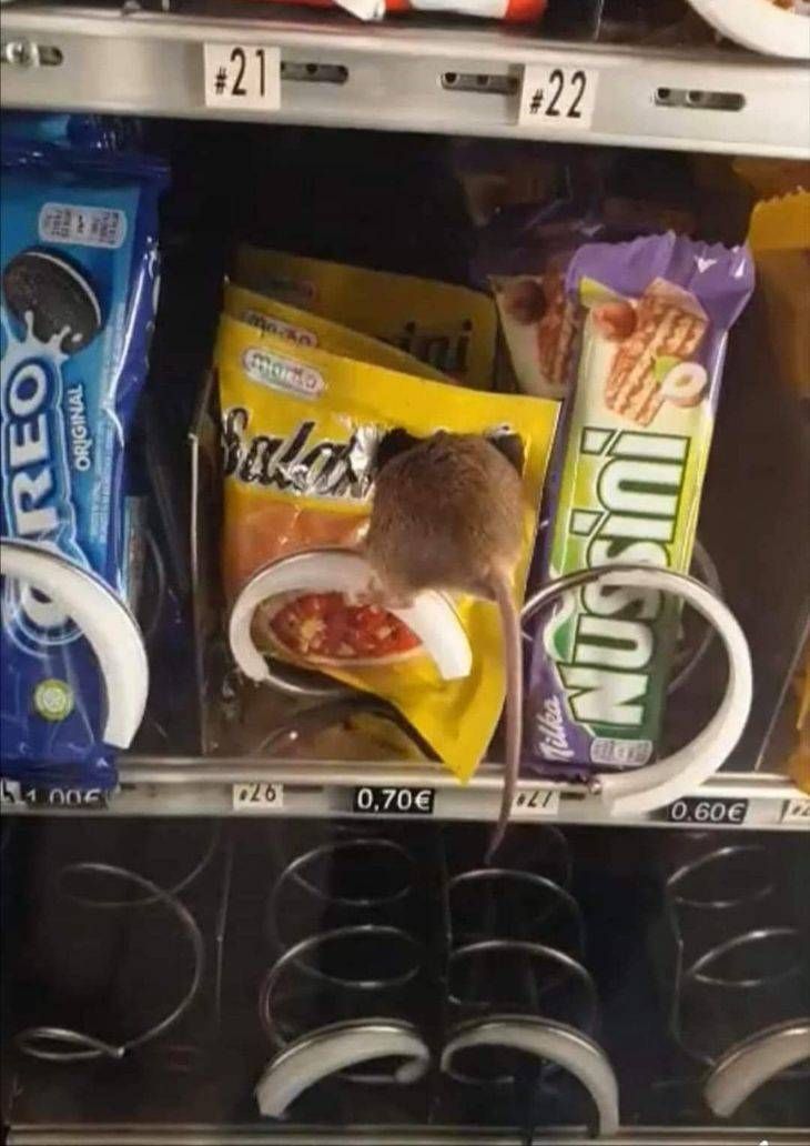 mutjtrnq.jpg