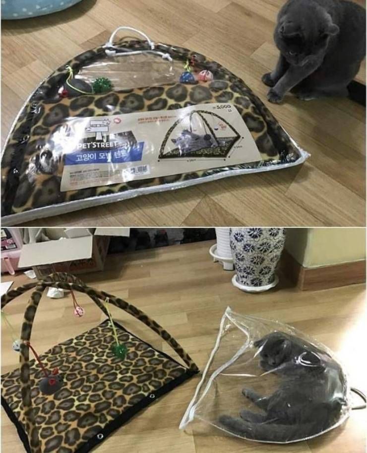 47ytgu3k.jpg