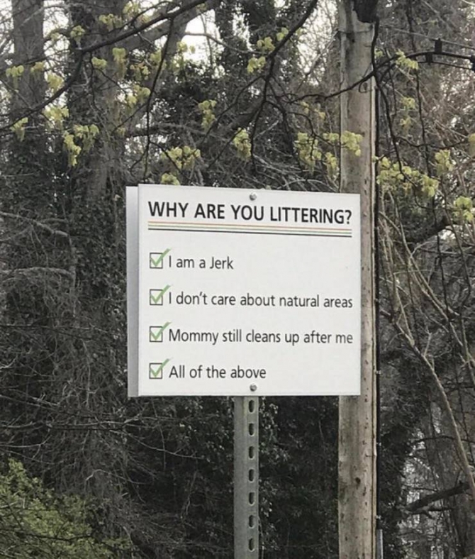4q8j7c4f.jpg