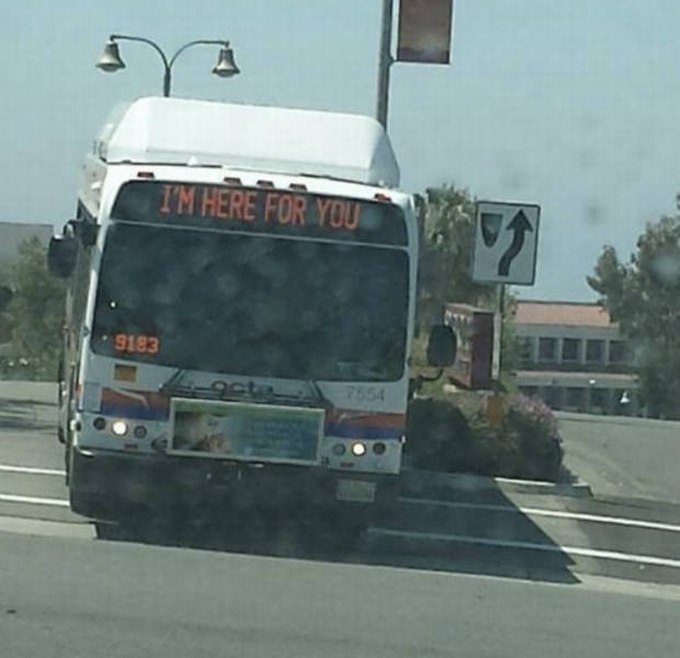 a2lyw23i.jpg