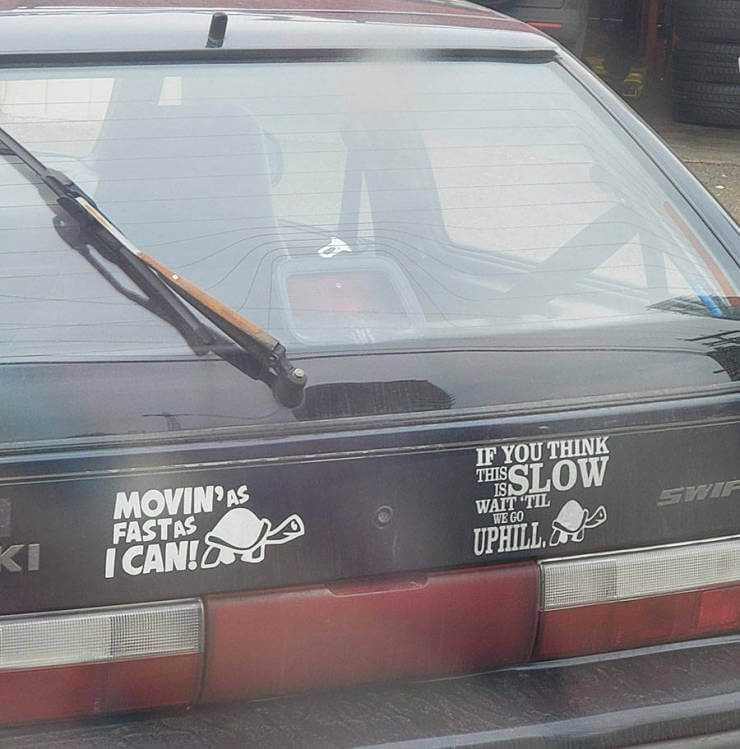 ifdcidz9.jpg