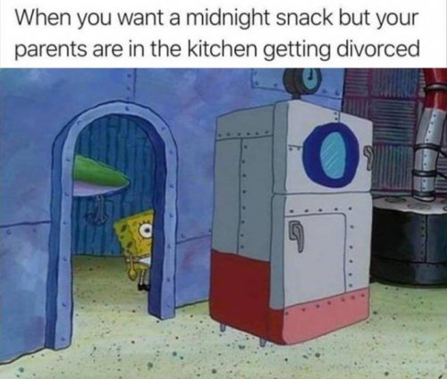 rfvanign.jpg