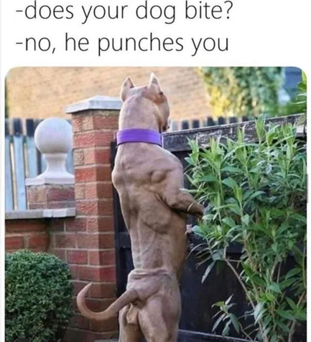 fkqdvnkj.jpg