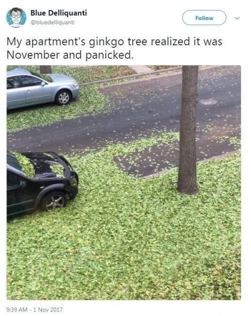 xpc6dmy6.jpg