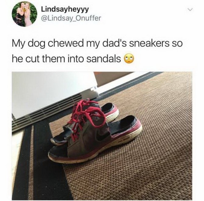 brwibepk.jpg
