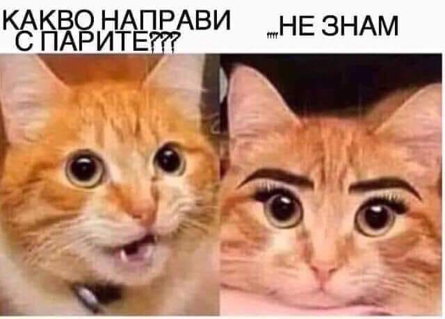 nbjsi7yu.jpg
