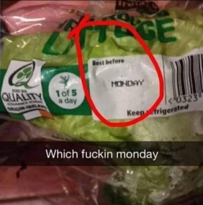 6nddc4wi.jpg