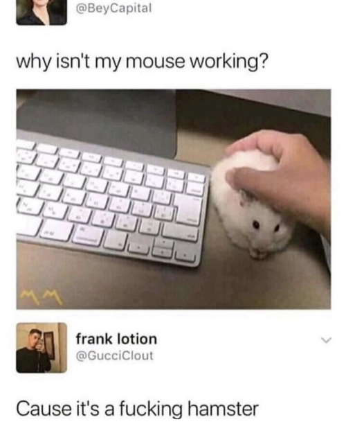 ffnkmfvf.jpg