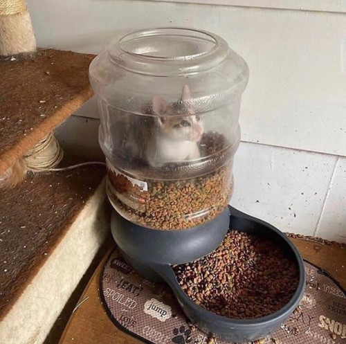 iynxycou.jpg