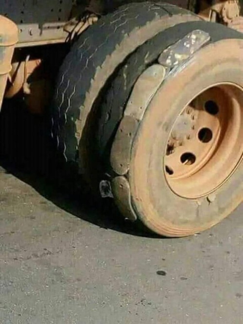 qujkxvc5.jpg