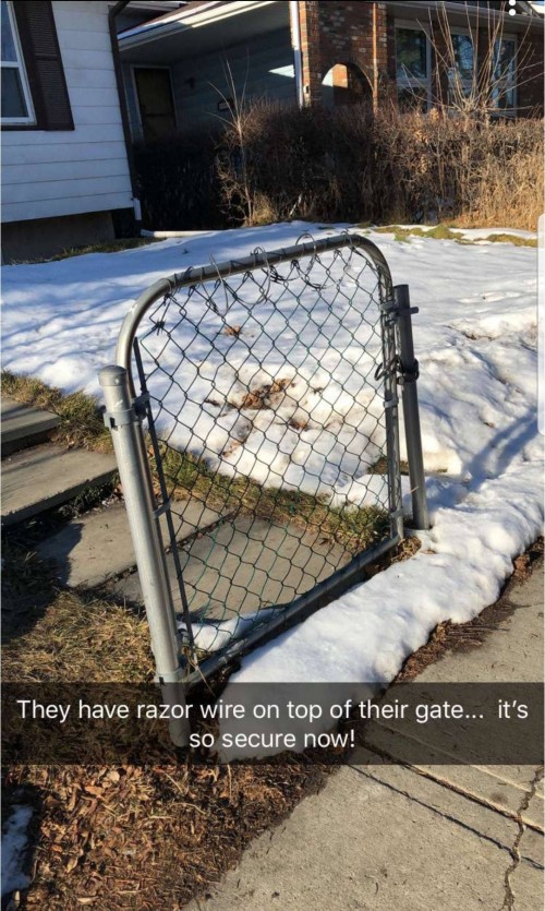 uvmfrc8x.jpg