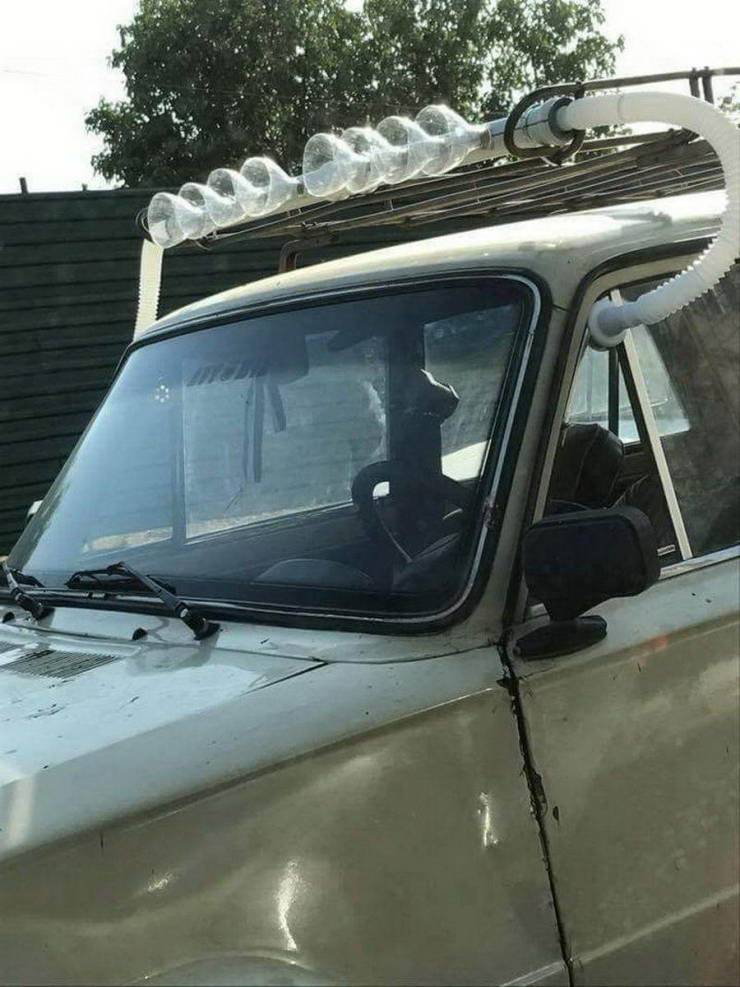 ekq7plf2.jpg