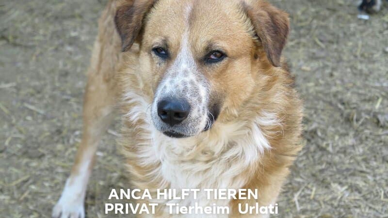 Kostenlos Bilder und Fotos hochladen