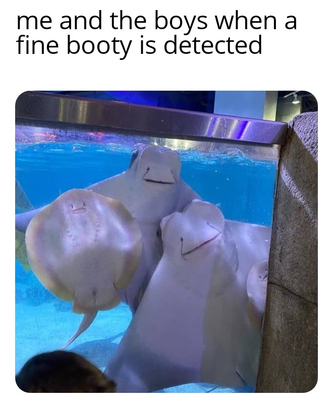 39wrjhg2.jpg