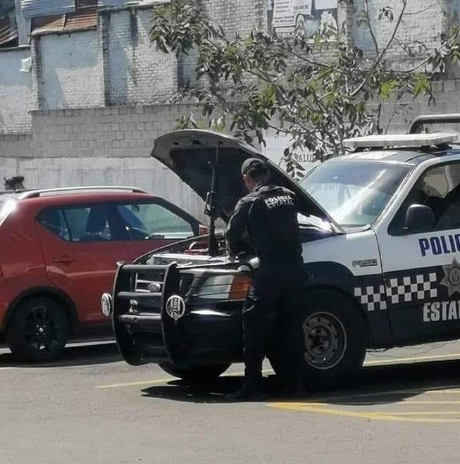 mtqelhx8.jpg