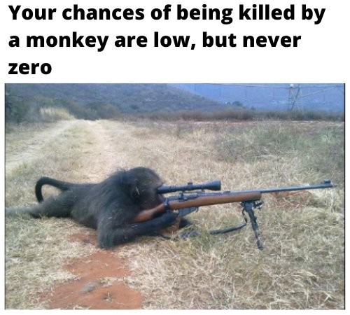 zqxfqikt.jpg