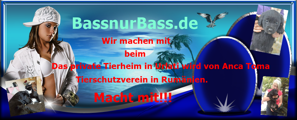 Kostenlos Bilder und Fotos hochladen