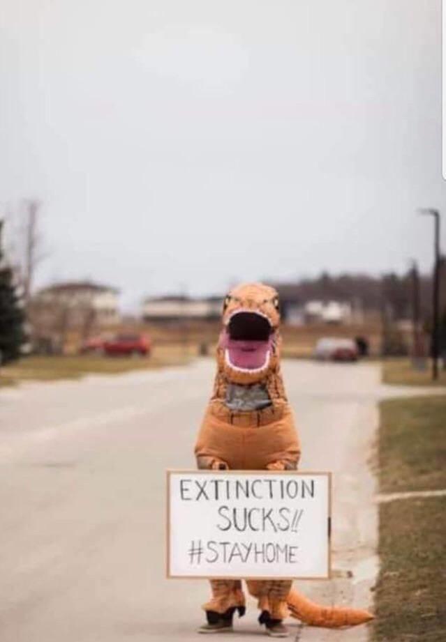 tcfrvvf9.jpg