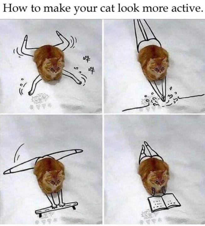 uslgwbwq.jpg