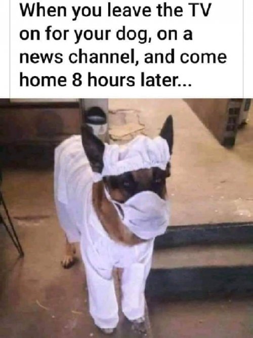 lmtdkfwb.jpg