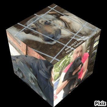 Kostenlos Bilder und Fotos hochladen