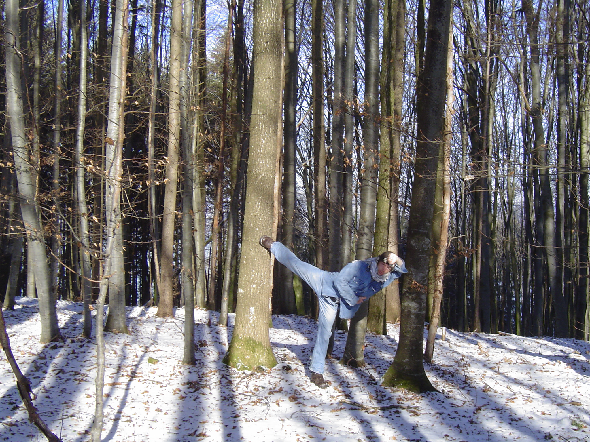 Baum & Traum